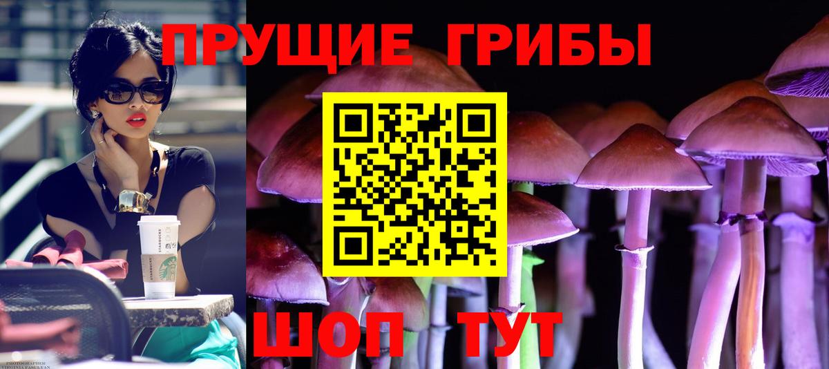 Псилоцибиновые грибы мицелий  Вход с VPN  Саяногорск  Псилоцибиновые грибы ЛСД 