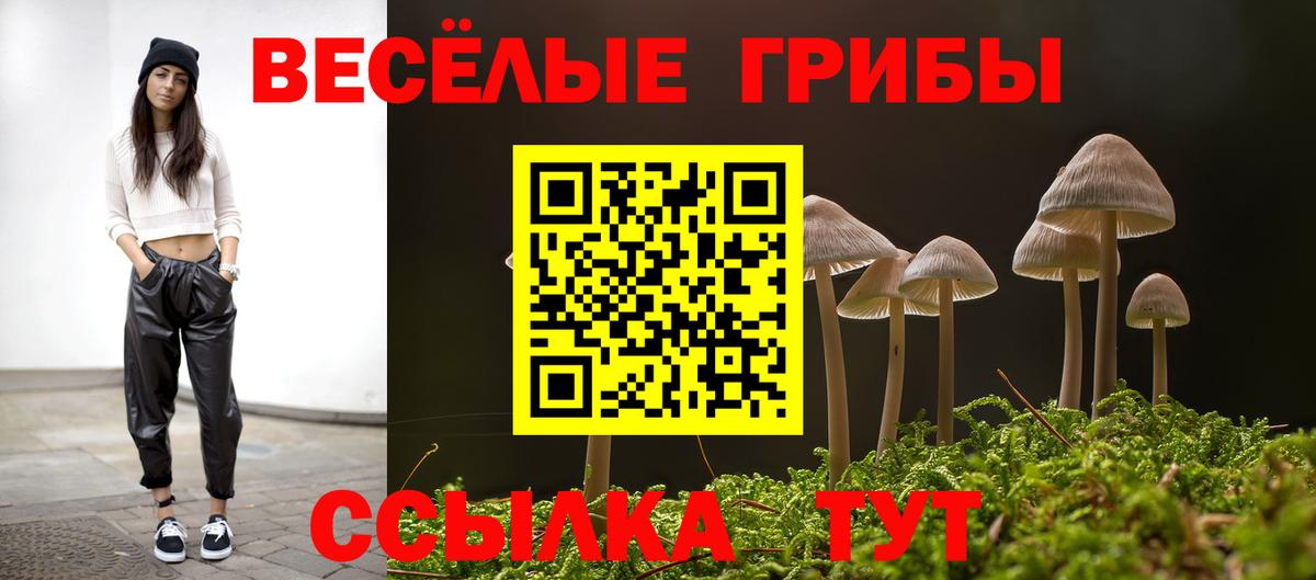 Галлюциногенные грибы GOLDEN TEACHER Саяногорск